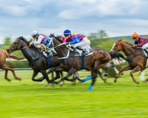 Mueren tres caballos en la Grand National 2023 de Reino Unido